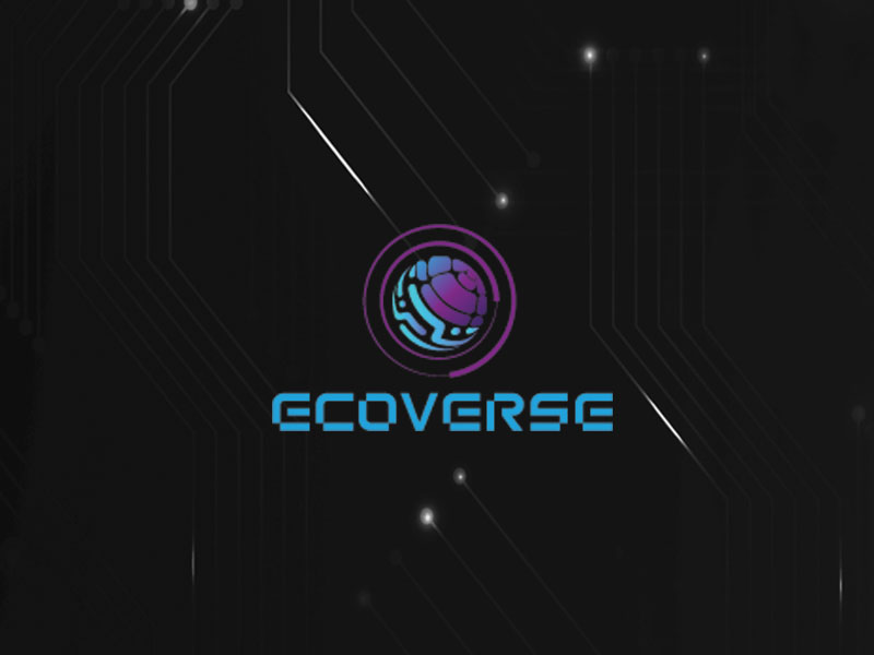 Ecoverse (EVS) Project Completes Successful KYC with PinkSale