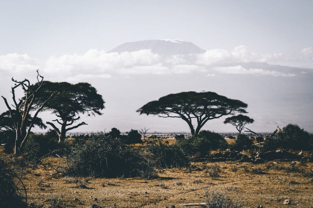 TON to Help 3 African Countries Launch Crypto Projects TON to Help 3 African Countries Launch Crypto Projects