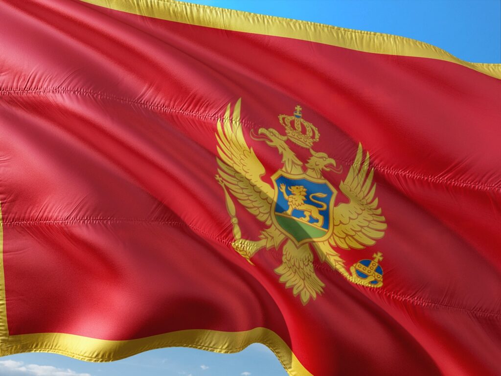 Vitalik Buterin Receives Montenegrin Citizenship Vitalik Buterin Receives Montenegrin Citizenship