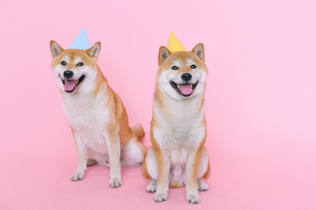 Shiba Inu Developers Launch Token Burning Mechanism Shiba Inu Developers Launch Token Burning Mechanism