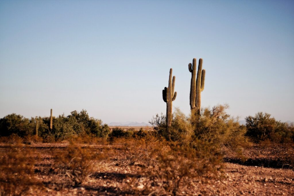 Bitcoin Hashrate Falls by Almost 30% After Texas Miners Shut Down Their Devices Bitcoin Hashrate Falls by Almost 30% After Texas Miners Shut Down Their Devices