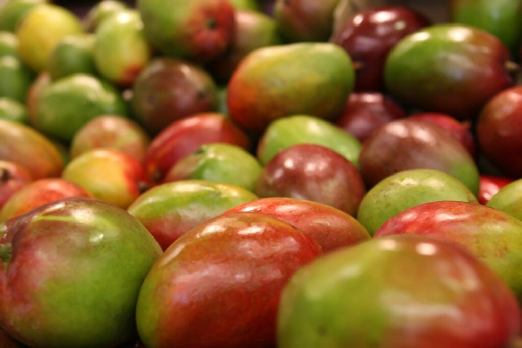 Mango Markets Intends to Resume Operations Despite SEC Claims Mango Markets Intends to Resume Operations Despite SEC Claims