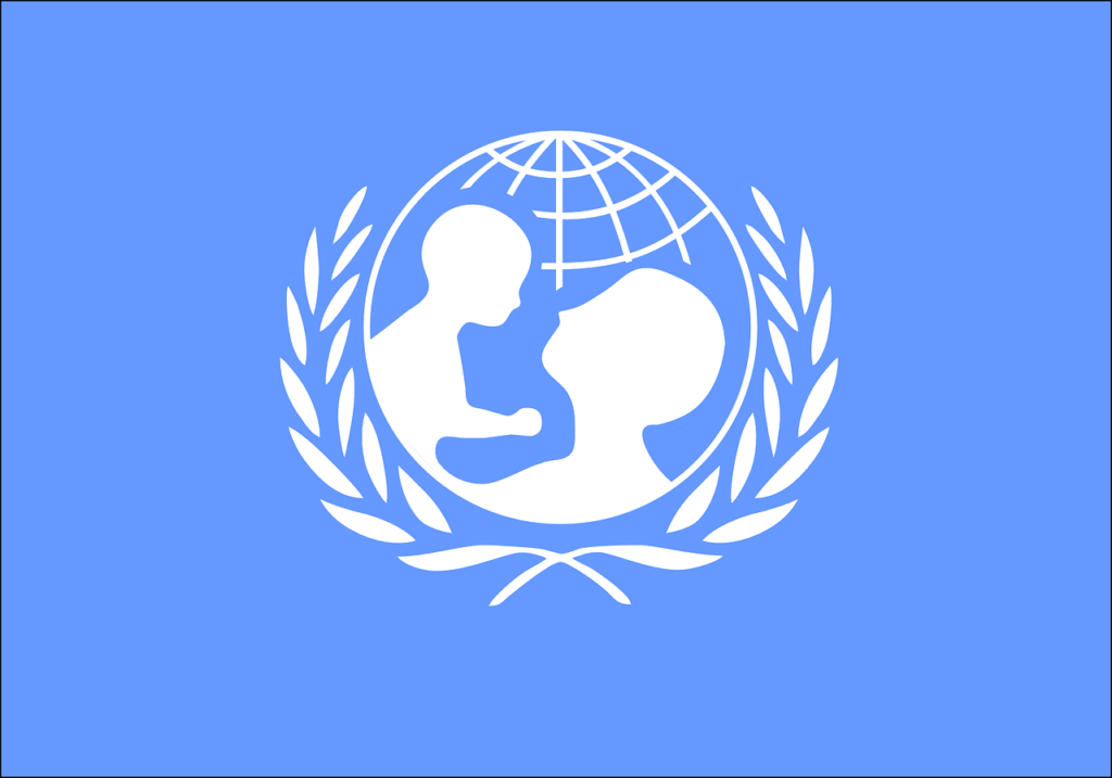 UNICEF is Considering the Creation of a Prototype DAO UNICEF is Considering the Creation of a Prototype DAO