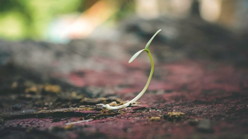 Binance Research: The Restaking Segment is Growing Binance Research: The Restaking Segment is Growing