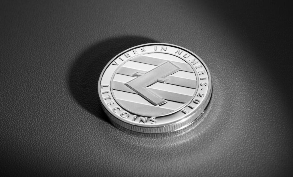 Canary Capital Files for a Spot Litecoin ETF Canary Capital Files for a Spot Litecoin ETF