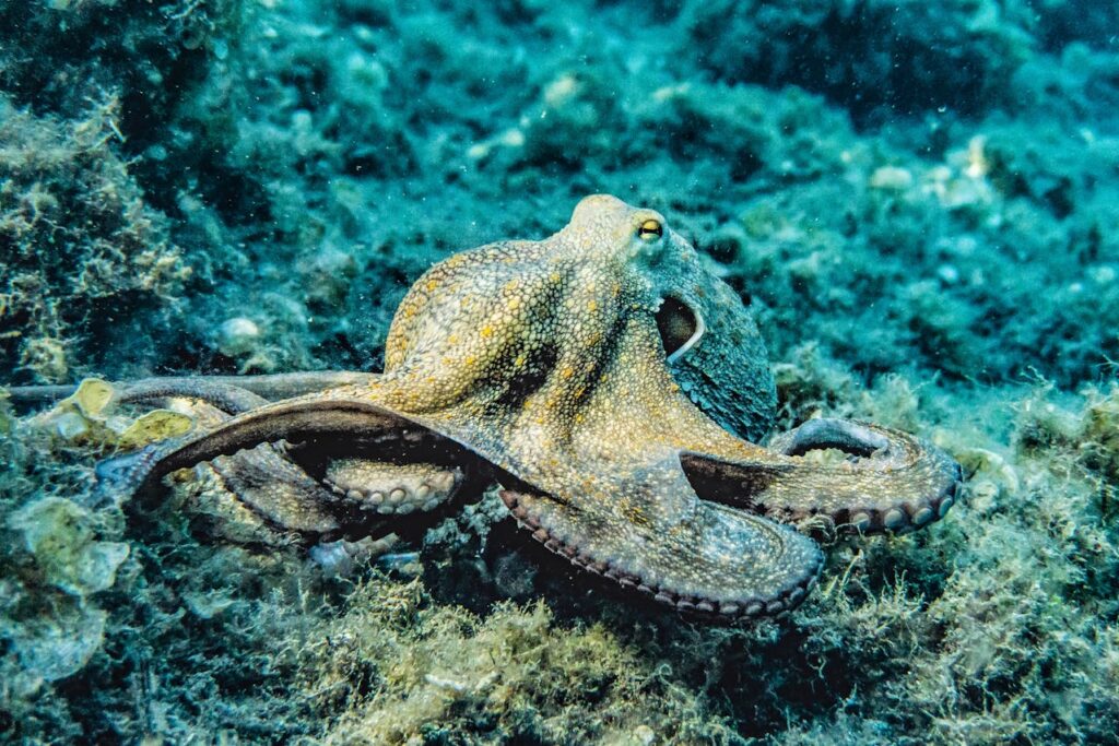 SEC Ends Kraken Lawsuit SEC Ends Kraken Lawsuit