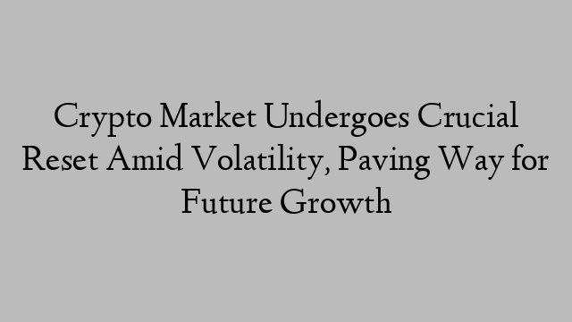 Crypto Market Undergoes Crucial Reset Amid Volatility, Paving Way for Future Growth